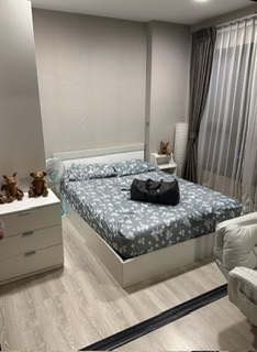 �͹������������ԧ�� ���¢�ҧ