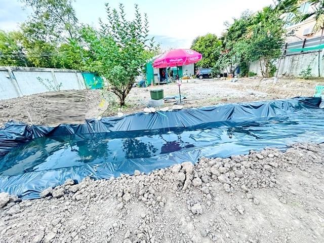 ���Թ������ �ҧࢹ��ا෾