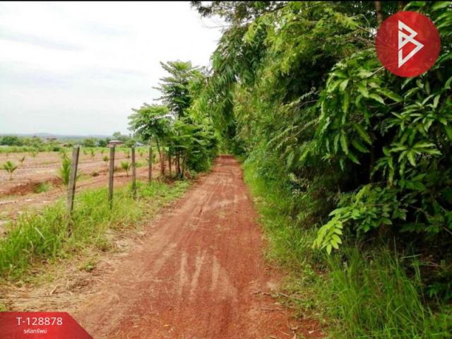 ���Թ ����˹ͧ���