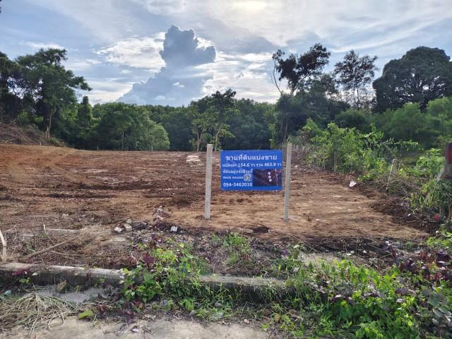 ���Թ ����