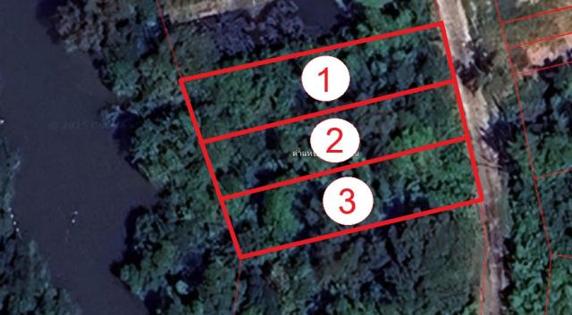 ���Թ ���� ˹�ҡ��ҧ