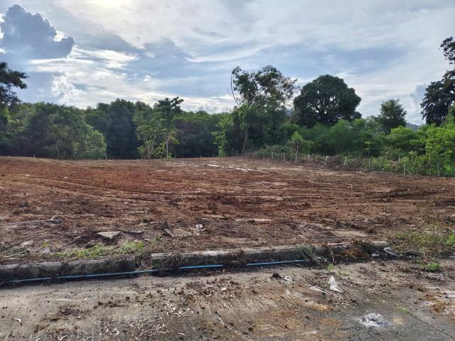 ���Թ ���� �֡50����