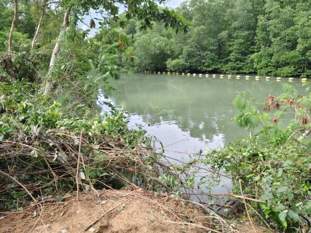 ���Թ ���� ��������