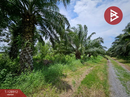 ���ԧ��� �� The Best Property Agent