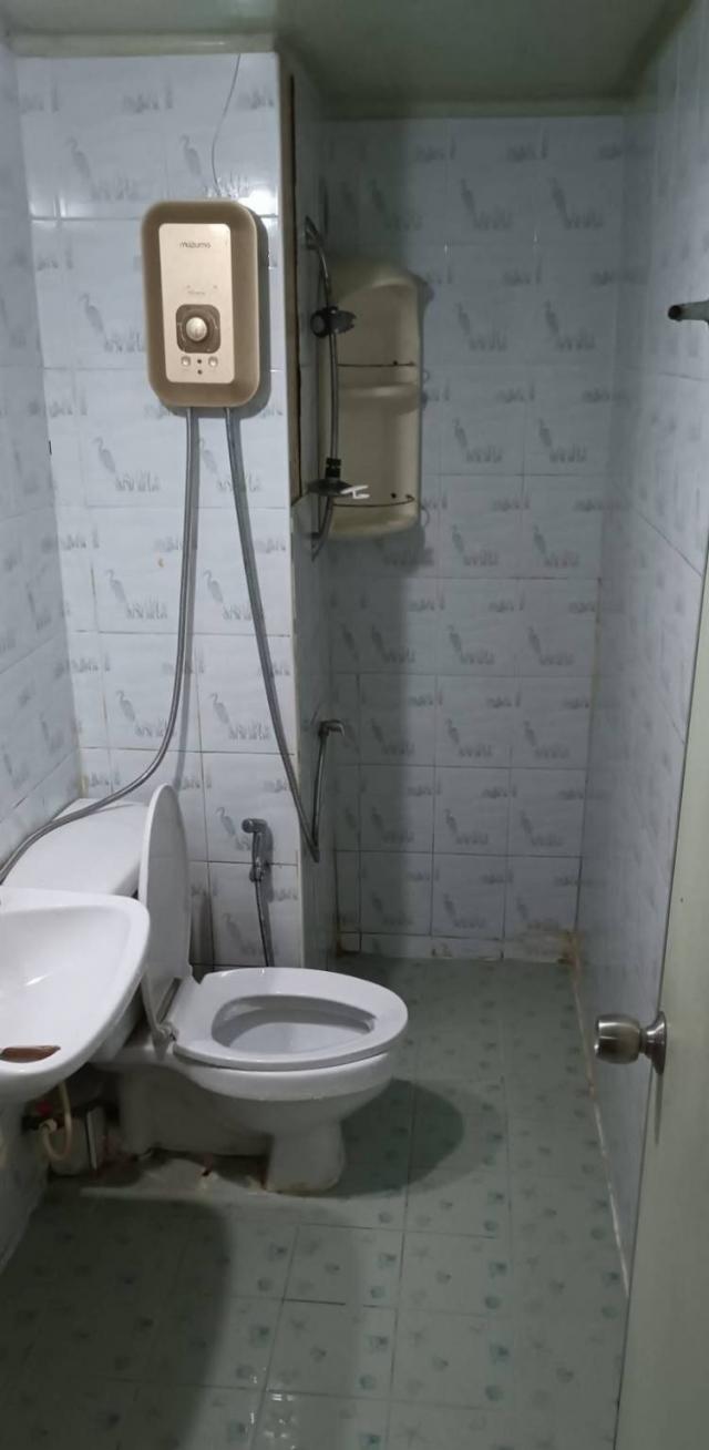 ��¤͹� �ҡ��紹������