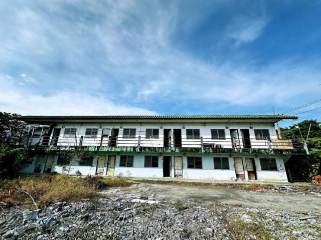 ;�����鹷�