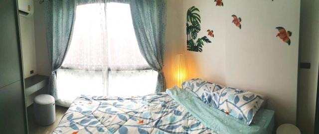 ��¤͹� �ѧ�ͧ��ҧ