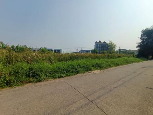 ที่ดินบางเขน ที่ดินบางเขน