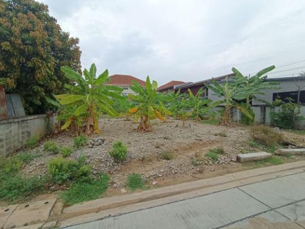 ��·��Թ �ҧ�