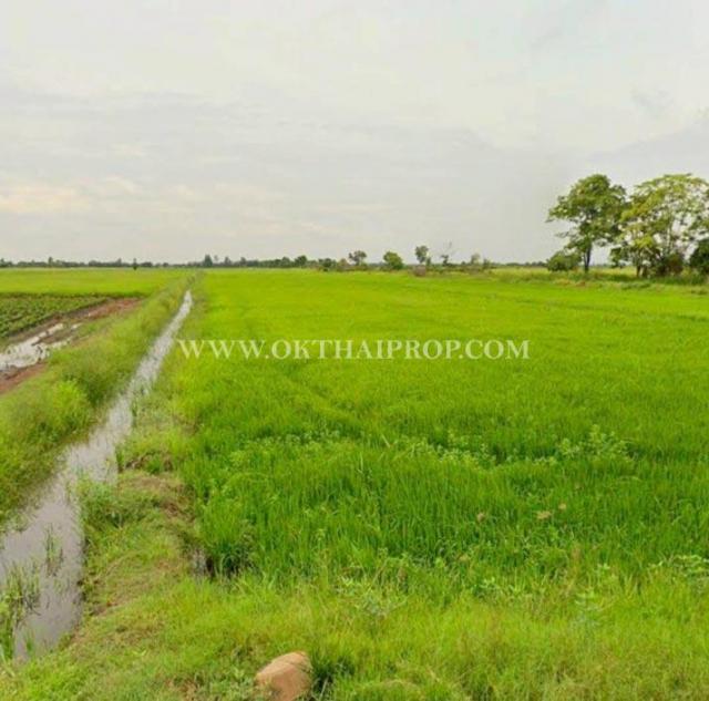 ���Թ ���ͺ�