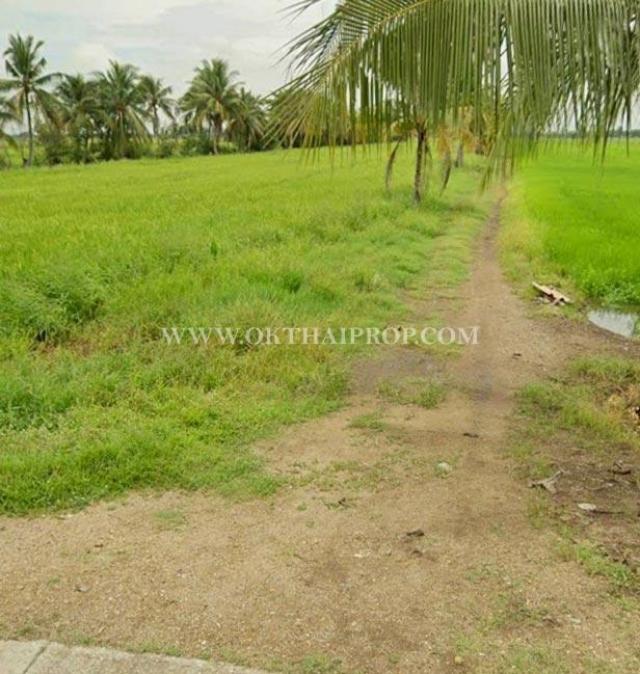 ��·��Թ ͧ��ѡ�칤ù�¡