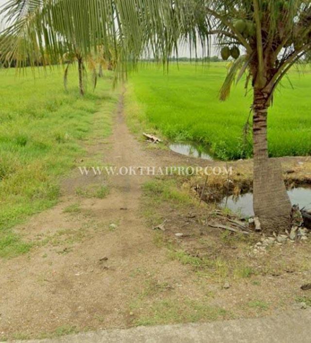 ��·��Թ ͧ��ѡ�칤ù�¡