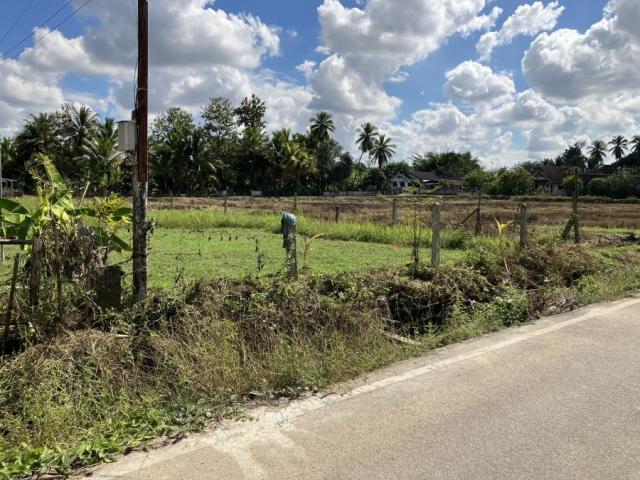 ��·��Թ ���ͧ�ӻҧ�ӻҧ