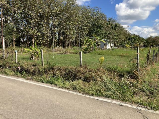 ��·��Թ ���ͧ�ӻҧ�ӻҧ