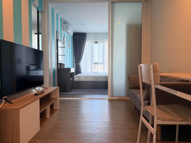 �͹� ������ԭ