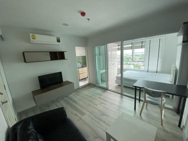 �͹� ������§