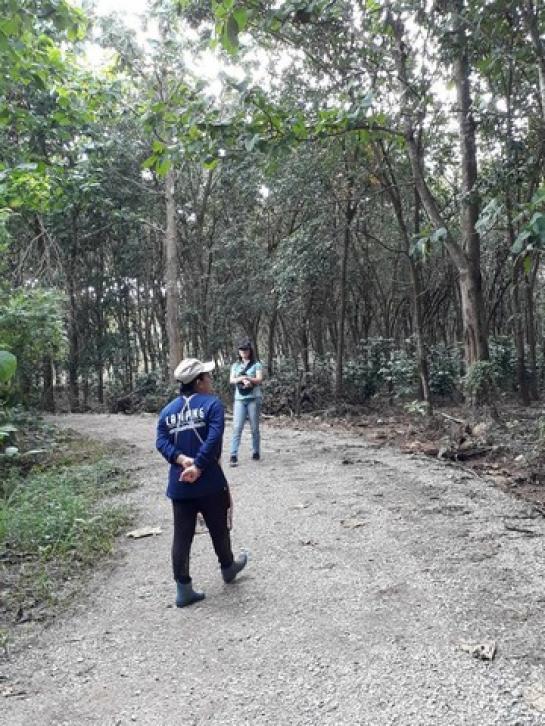 ��·��Թ ��§�ͧ��§���