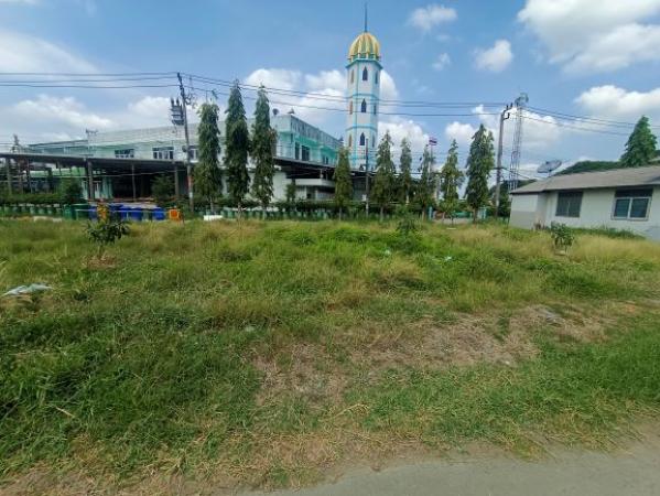 ���Թ �չ����