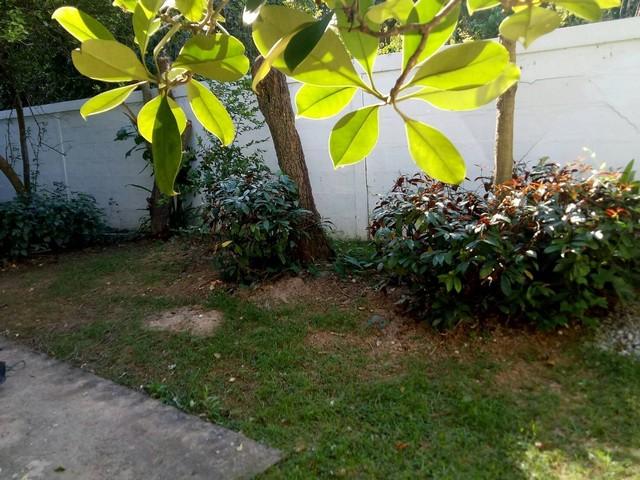 ��º�ҹ �Ⱥ�ŵӺ����ͧ�� �͹��