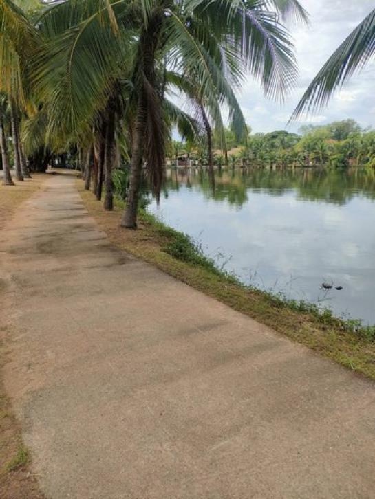 ��º�ҹ �Ⱥ�ŵӺ����ͧ�� �͹��