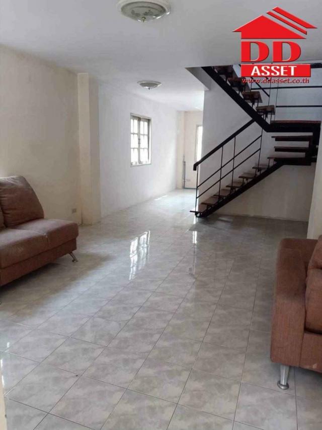 ��·�ǹ���� ������