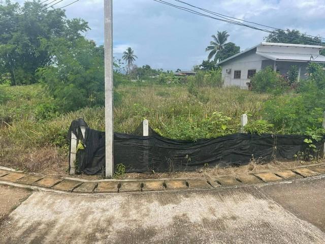 ���Թ ��§���