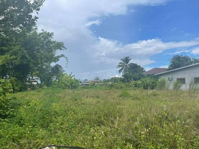 ��·��Թ ��������§���