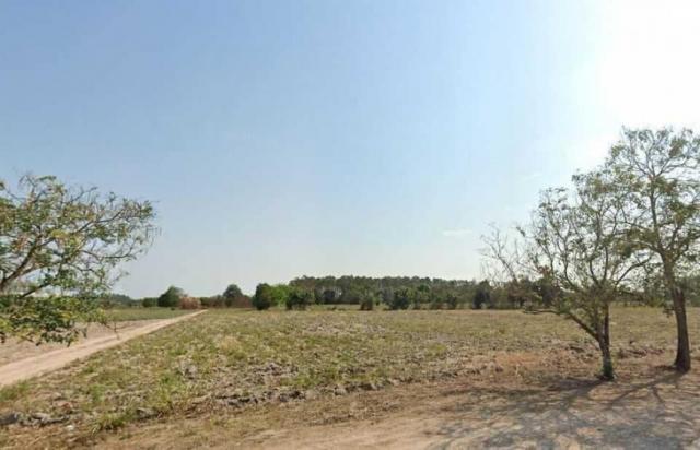 ���Թ �������