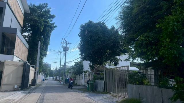 ���Թ ������������