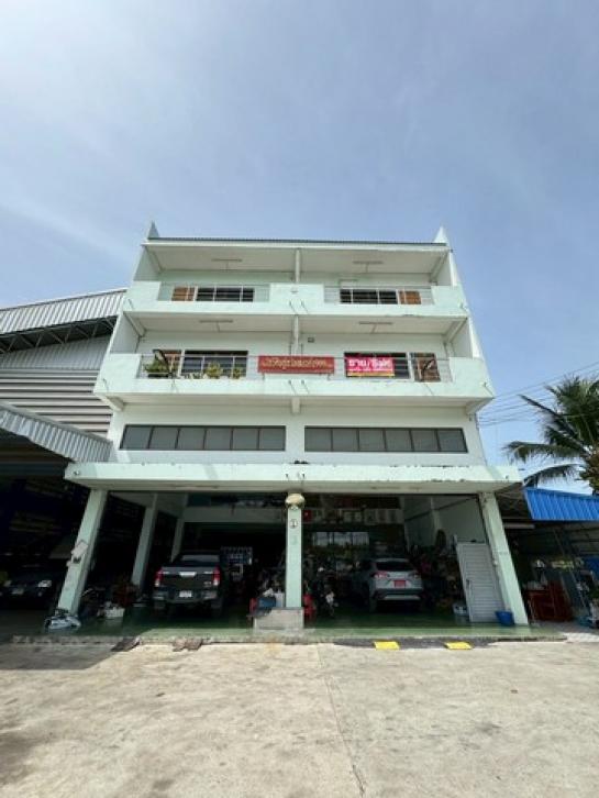 ���Թ ��û��