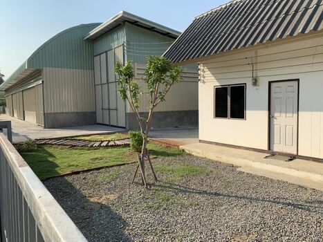 ⡴ѧ ����ç���