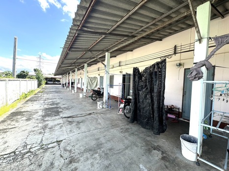 ��¸�áԨ �Ⱥ�Ź����§������§����