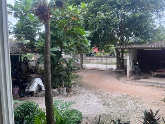 ��º�ҹ����� ��Ф��ӻҧ