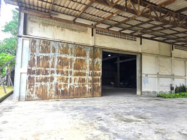 ����ç�ҹ ���ʹԤ��ź���