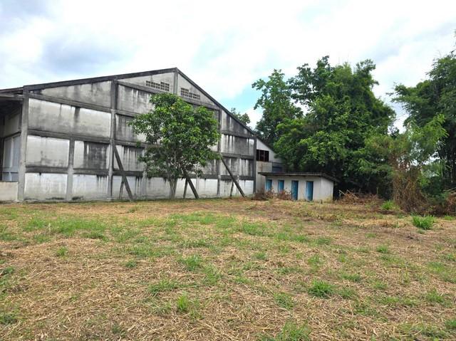 ����ç�ҹ ���ʹԤ��ź���