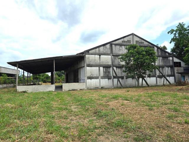 ����ç�ҹ ���ʹԤ��ź���