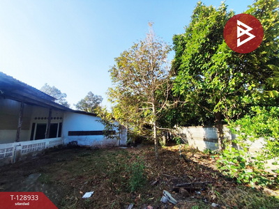 ��º�ҹ ���ͧ�ѹ����ըѹ�����