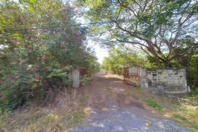 ���Թ�ŧ��� ˹ͧ����