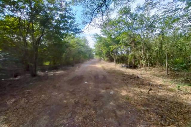 ���Թ����Ѻ�������� ˹ͧ����