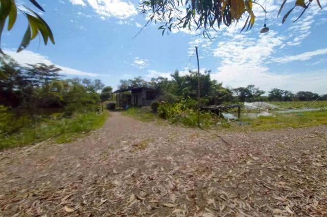 ���Թ���������Ѻ�������� ˹ͧ����