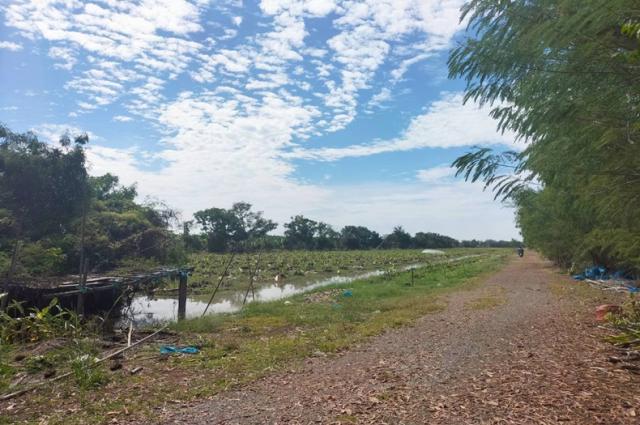 ���Թ��Ҵʴ�ø���� ˹ͧ����