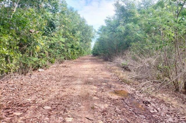 ���Թ�ѧ�Ե ˹ͧ����