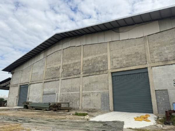 ⡴ѧ������ �ҧ��Ƿͧ�������