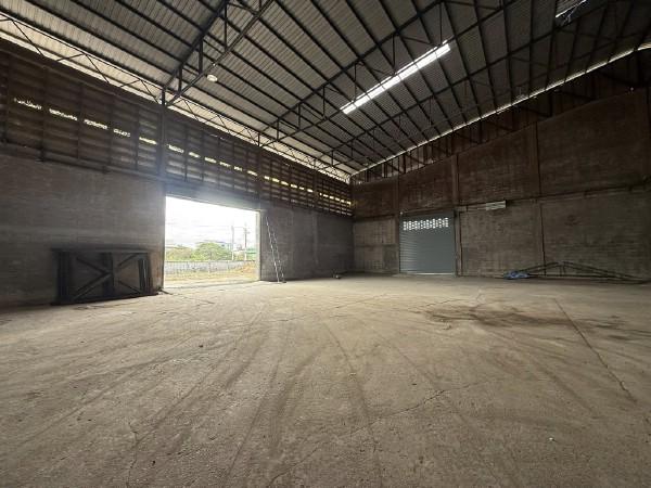 ⡴ѧ������ �ҧ��Ƿͧ�������