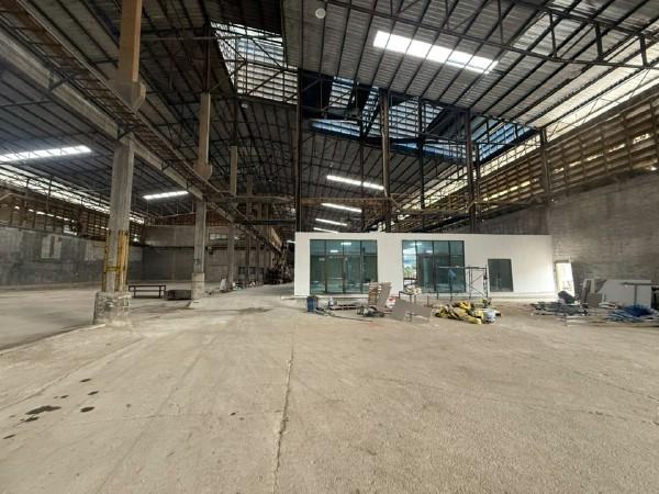 ⡴ѧ������ �ҧ��Ƿͧ�������