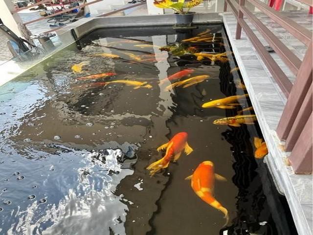 ��º�ҹ ��ͧ��ǧ�����ҹ�