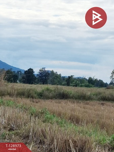 ��·��Թ �ԧ��§���