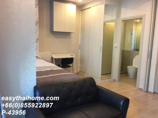 �͹������� �ҧ�ѡ��ا෾