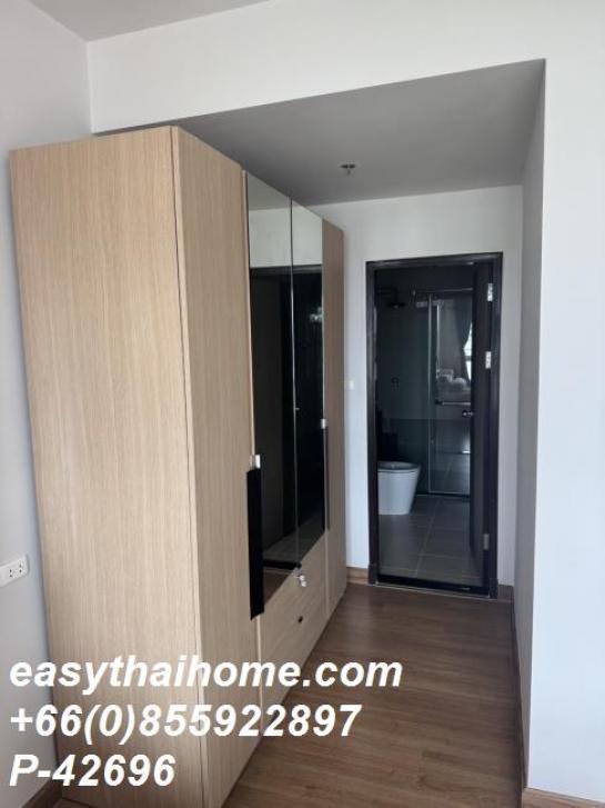 ��¤͹� ������