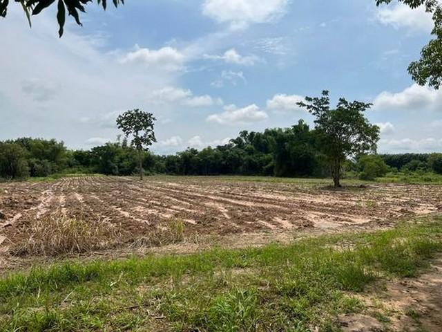 ��·��Թ �����º֧���